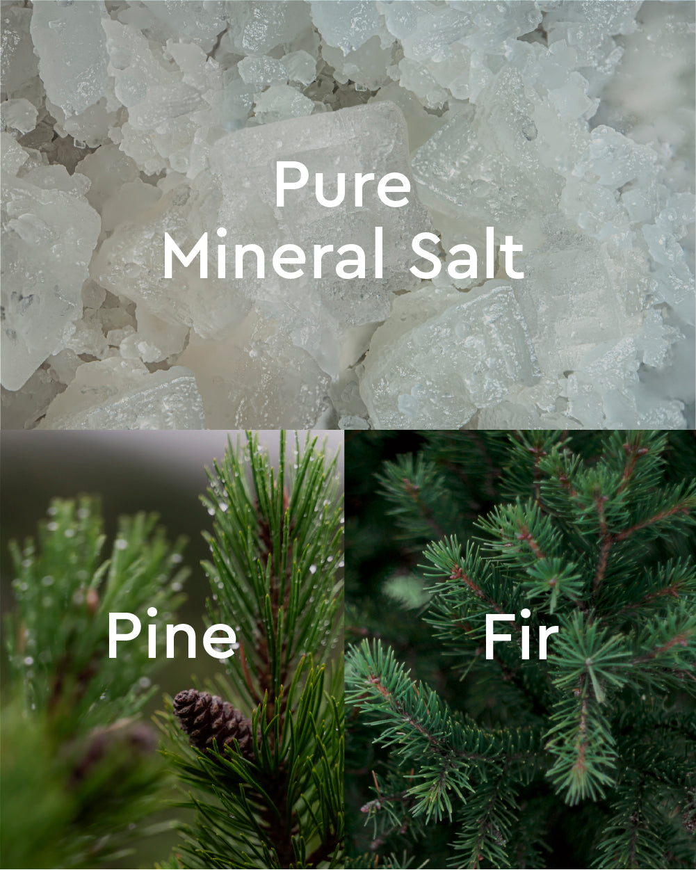 Kneipp Mineral Bath Salt, Forest Ritual Pine & Fir, 17.63 oz